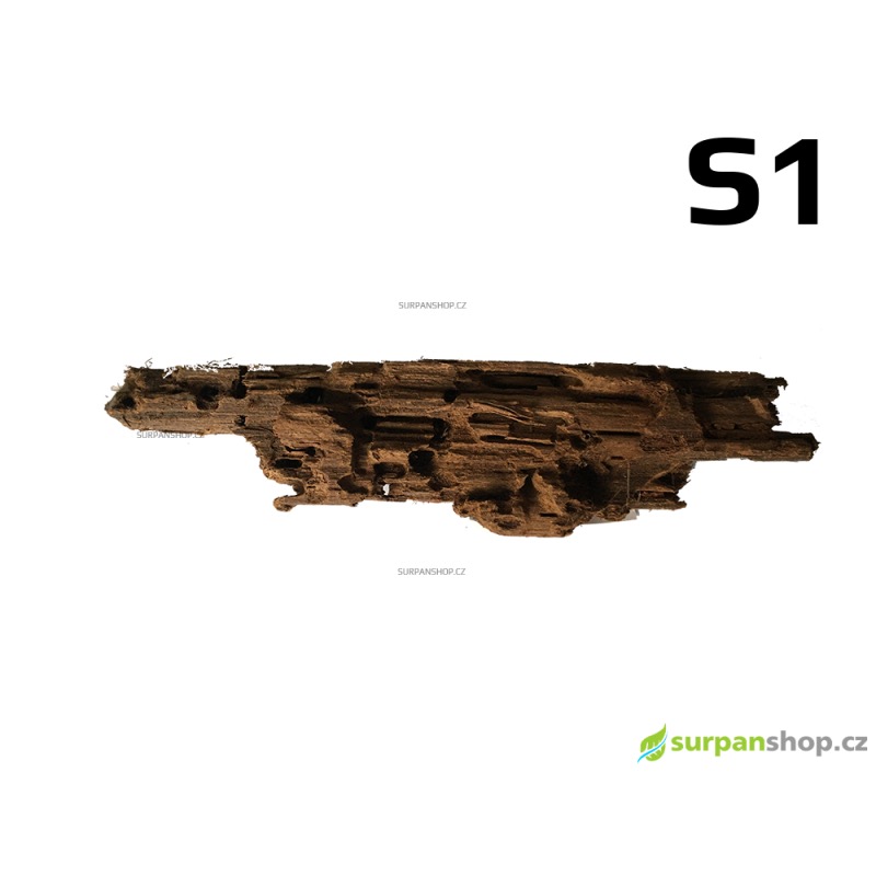 Akvarijní dřevo Mangrove - velikost S