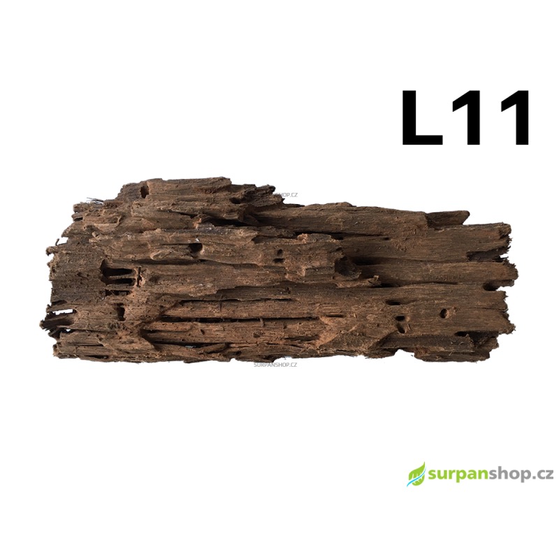 Kořen Mangrove 34cm - L11
