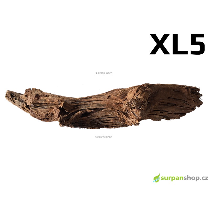 Kořen Mangrove 53cm - XL5
