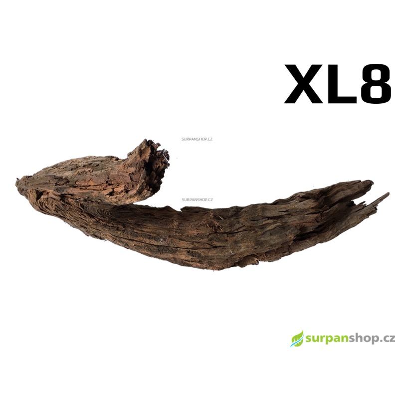 Kořen Mangrove 52cm - XL8