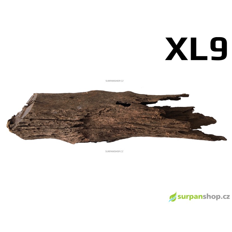 Kořen Mangrove 51cm - XL9