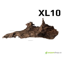 Kořen Mangrove 53cm - XL10