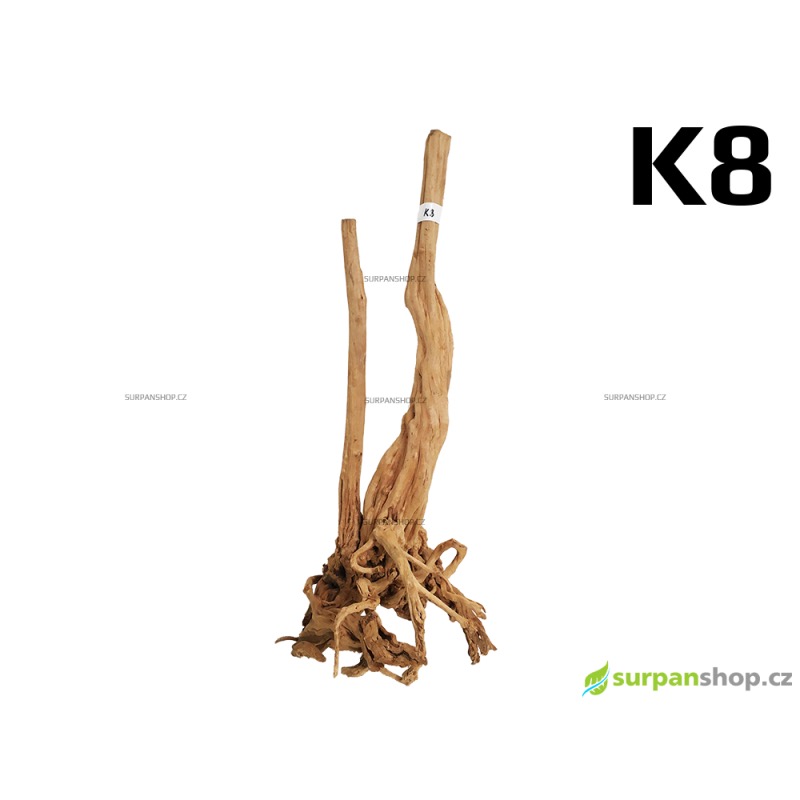 Kořen Fine Wood Stump - možnost výběru Kořen Fine Wood Stump - možnost výběru