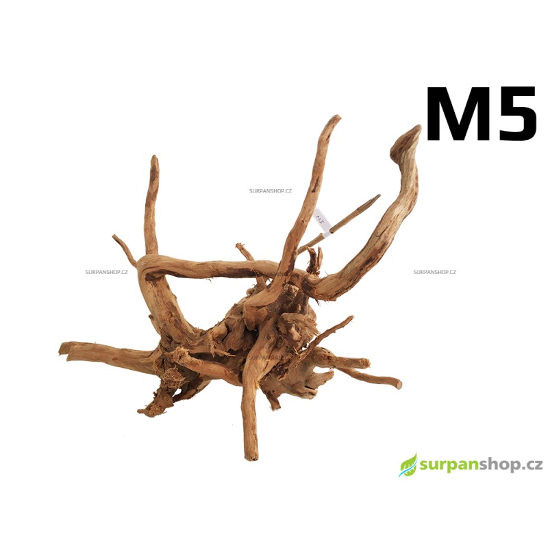 Kořen Finger Wood 33cm M5 (Red Moor wood, Amano wood)