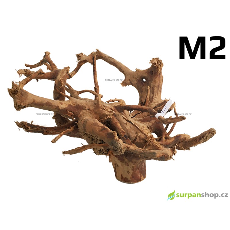 Kořen Finger Wood 29cm M2 (Red Moor wood, Amano wood)