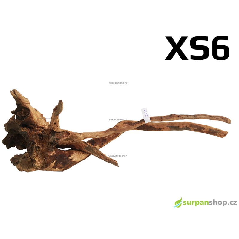 Kořen Finger Wood 27cm XS6 (Red Moor wood, Amano wood)