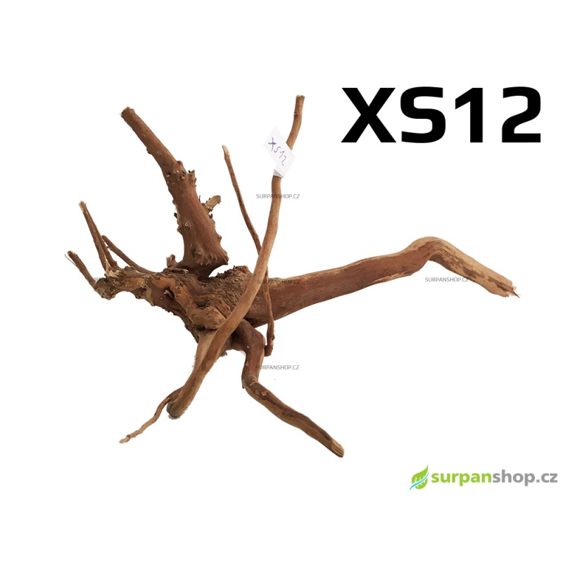 Kořen Finger Wood 20cm XS12 (Red Moor wood, Amano wood)