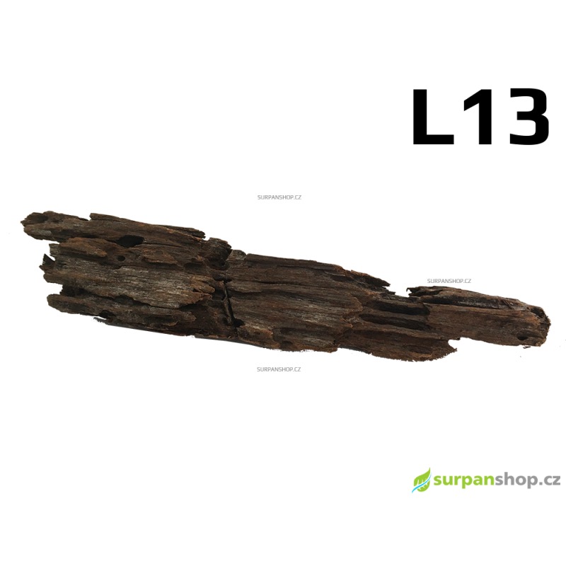 Kořen Mangrove 41cm - L13