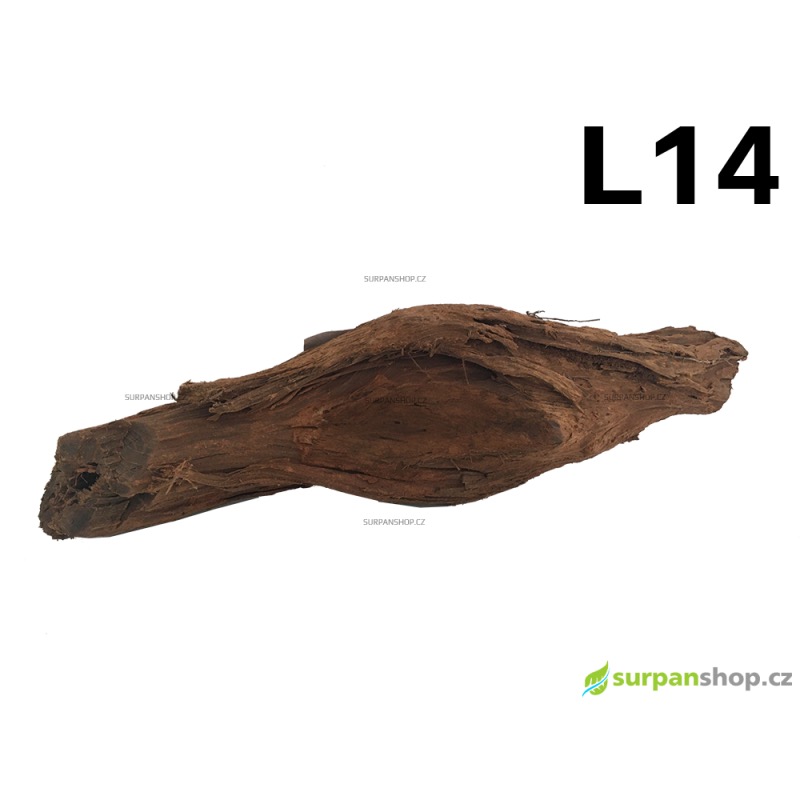 Kořen Mangrove 40cm - L14