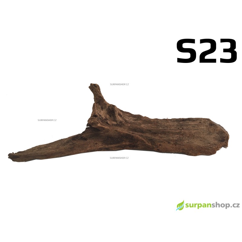 Kořen Mangrove 30cm - S23