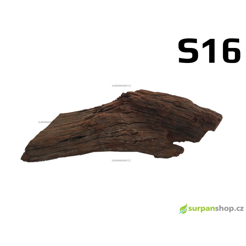 Kořen Mangrove 24cm - S16