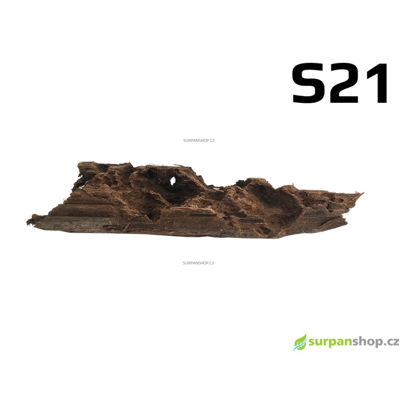 Kořen Mangrove 28cm - S21