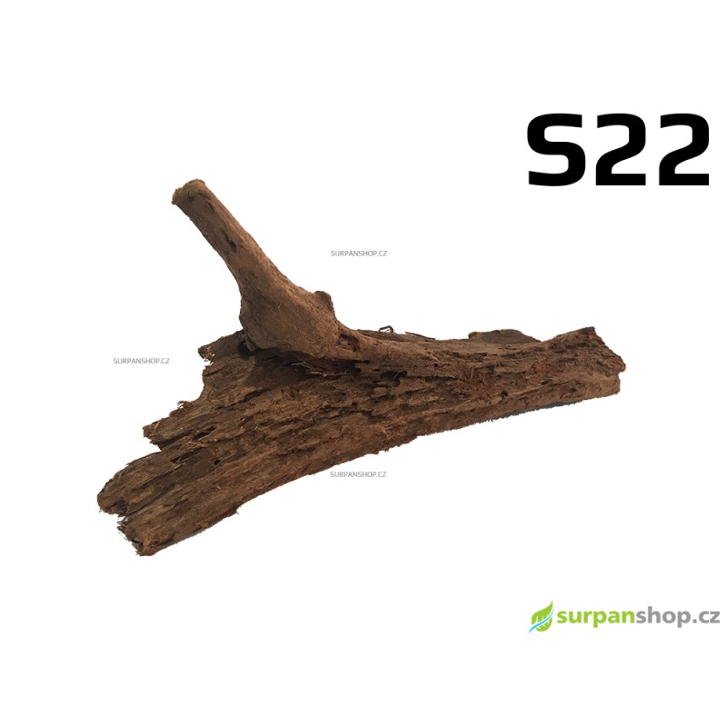 Kořen Mangrove 24cm - S22