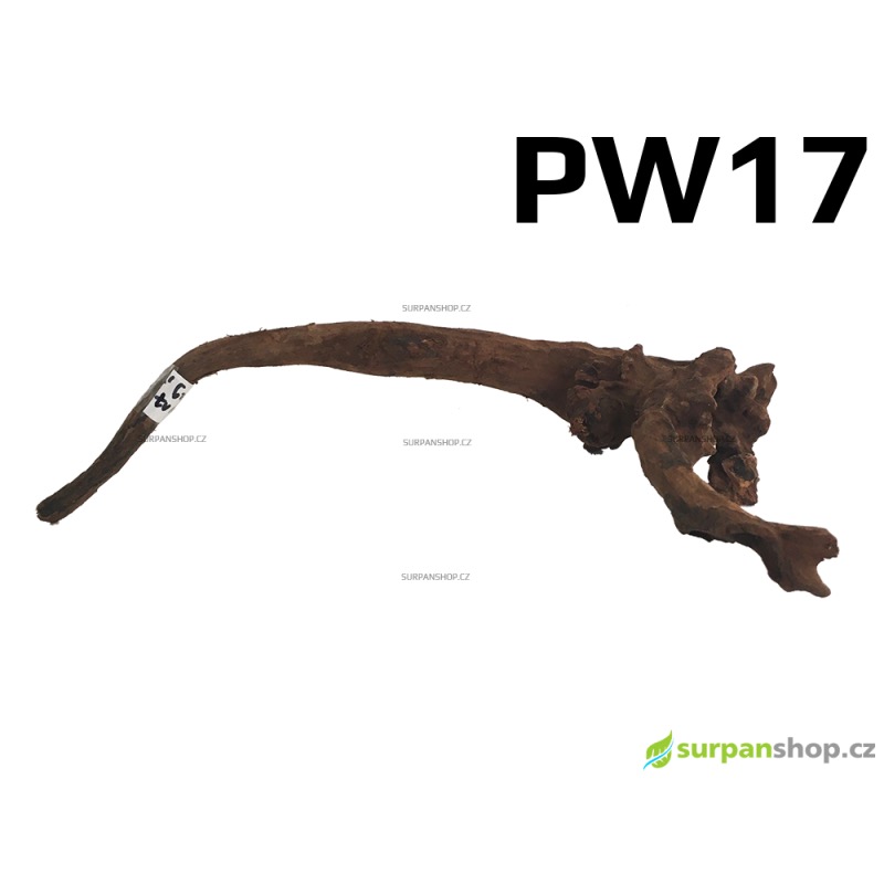 Kořen Plants Wood 29cm PW17
