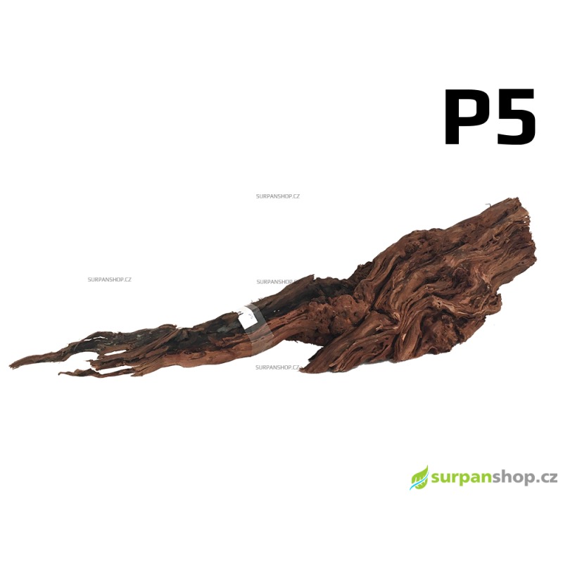 Kořen Dragon Wood 49cm - P5