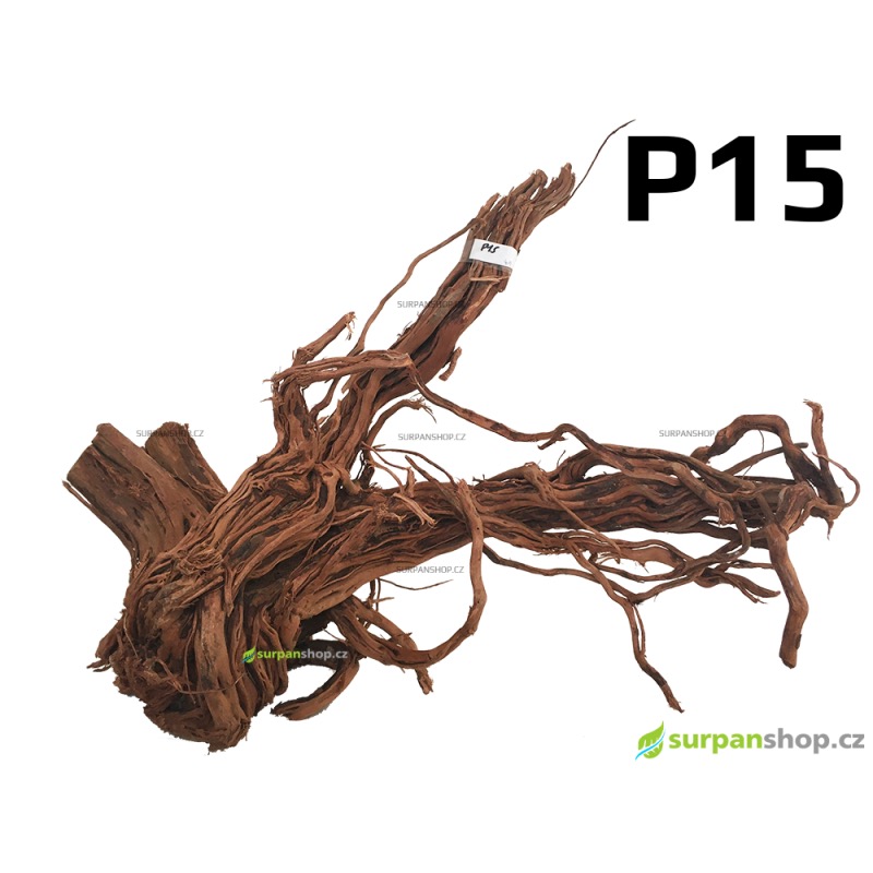 Kořen Dragon Wood 72cm - P15