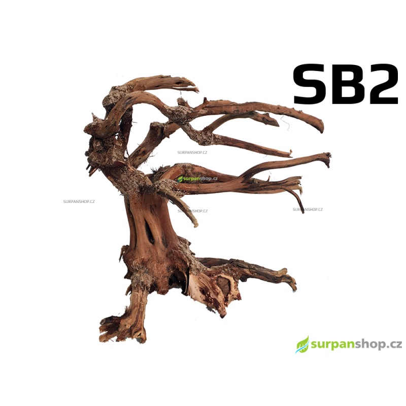 Bonsai - Stromek ve vichru 24x17x24cm SB2