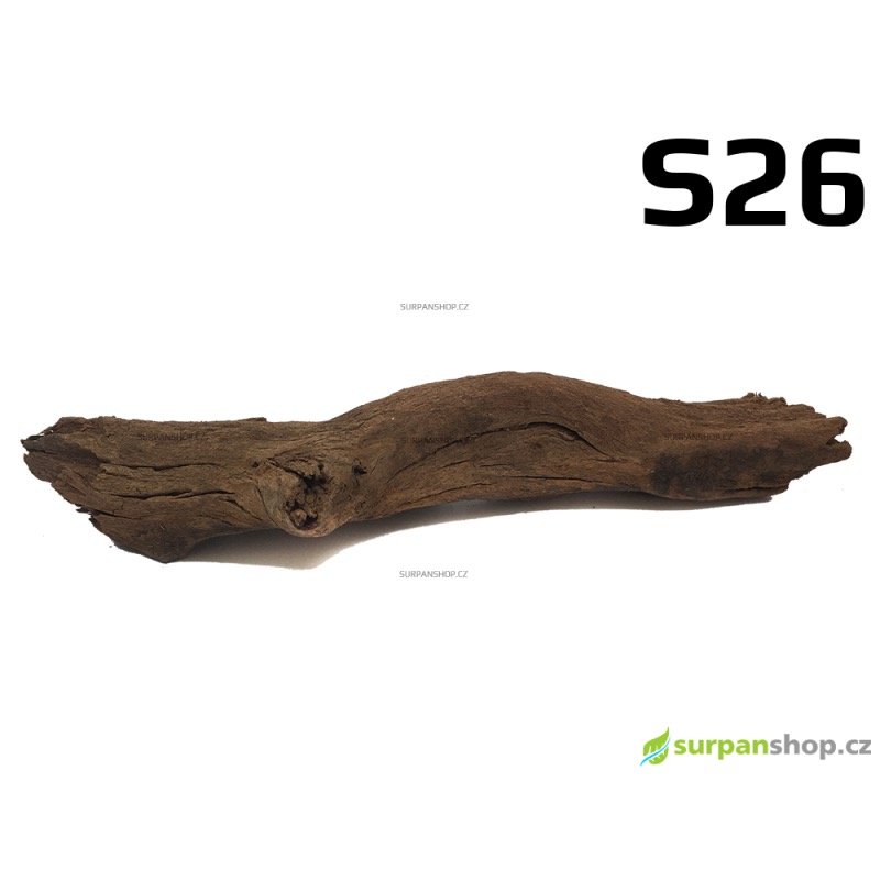 Kořen Mangrove 30cm - S26