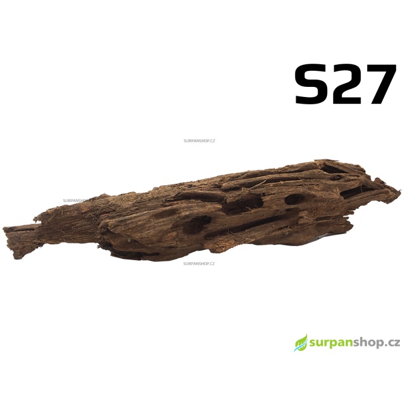 Kořen Mangrove 30cm - S27