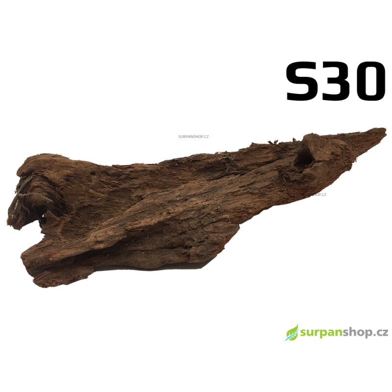 Kořen Mangrove 27cm - S30