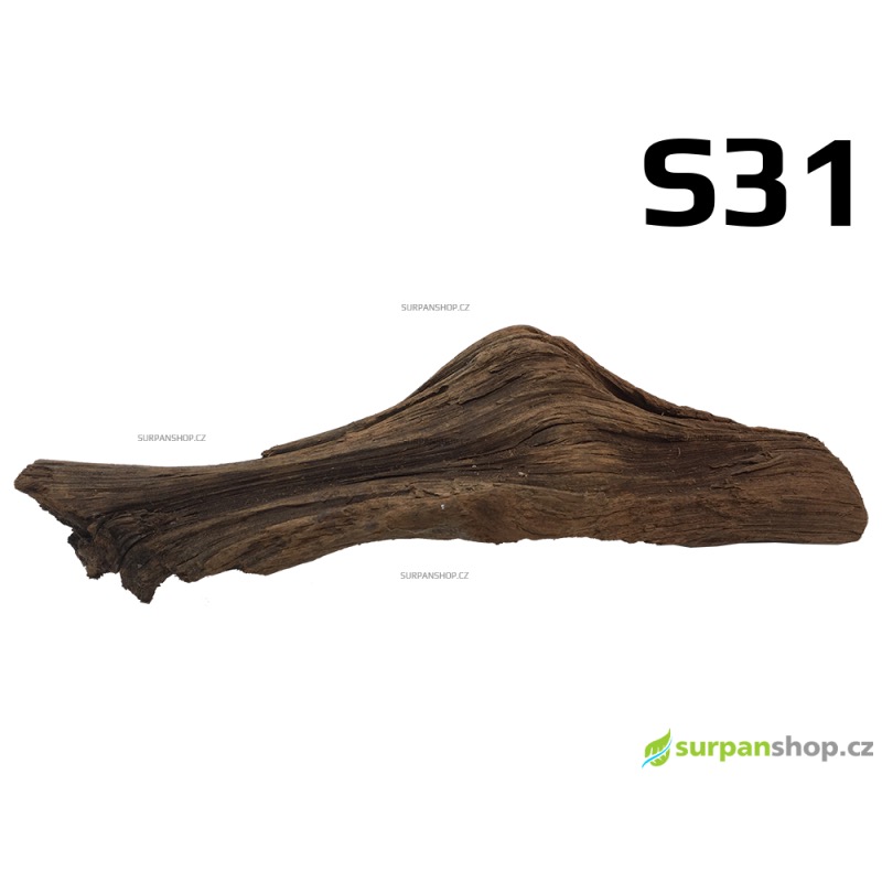 Kořen Mangrove 28cm - S31
