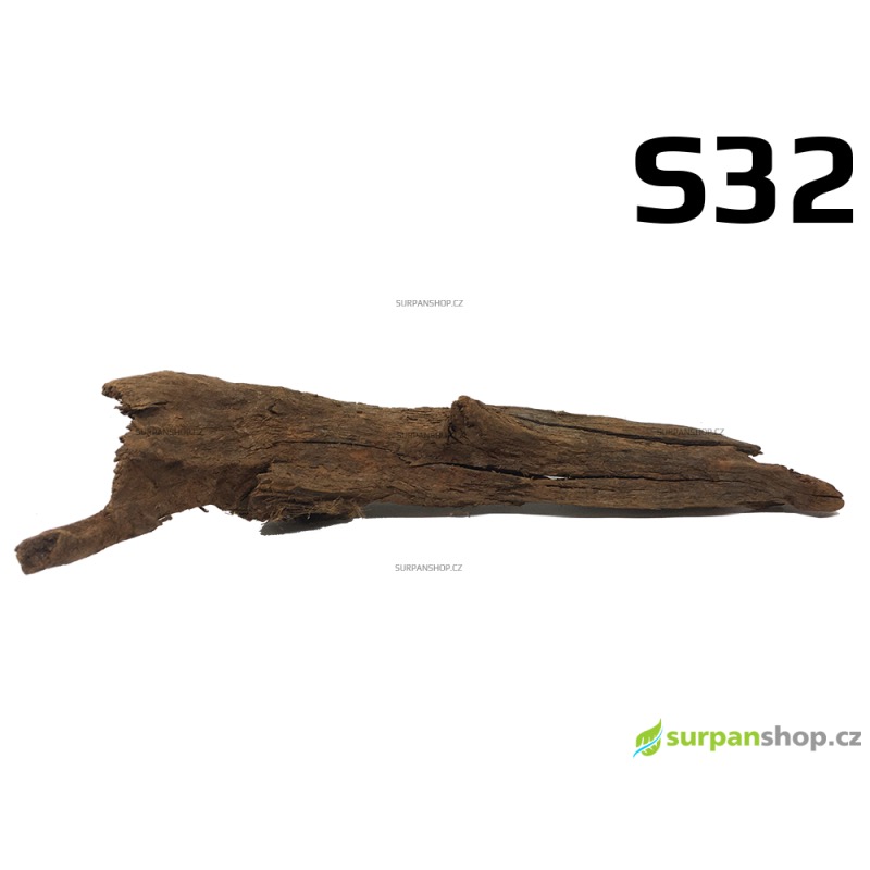 Kořen Mangrove 27cm - S32