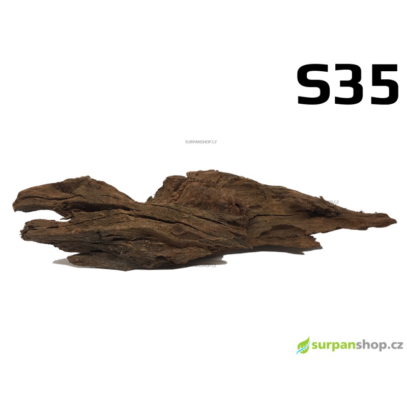 Kořen Mangrove 31cm - S35