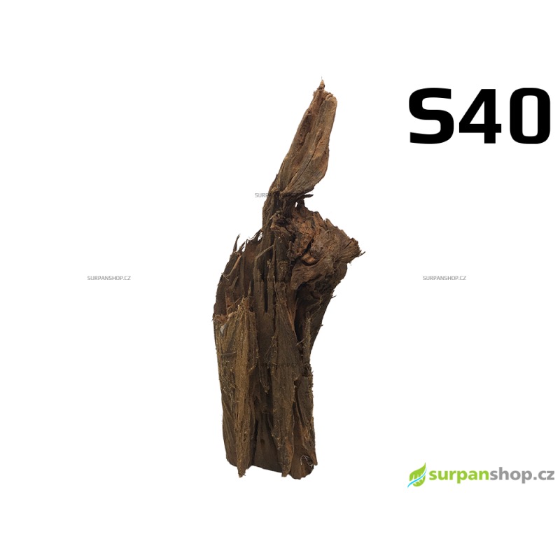 Kořen Mangrove 26cm - S40