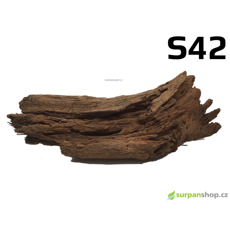 Kořen Mangrove 30cm - S42