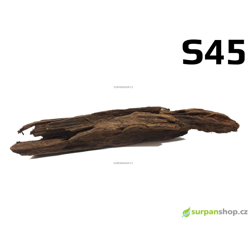 Kořen Mangrove 30cm - S45
