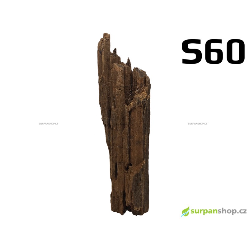Kořen Mangrove 26cm - S60
