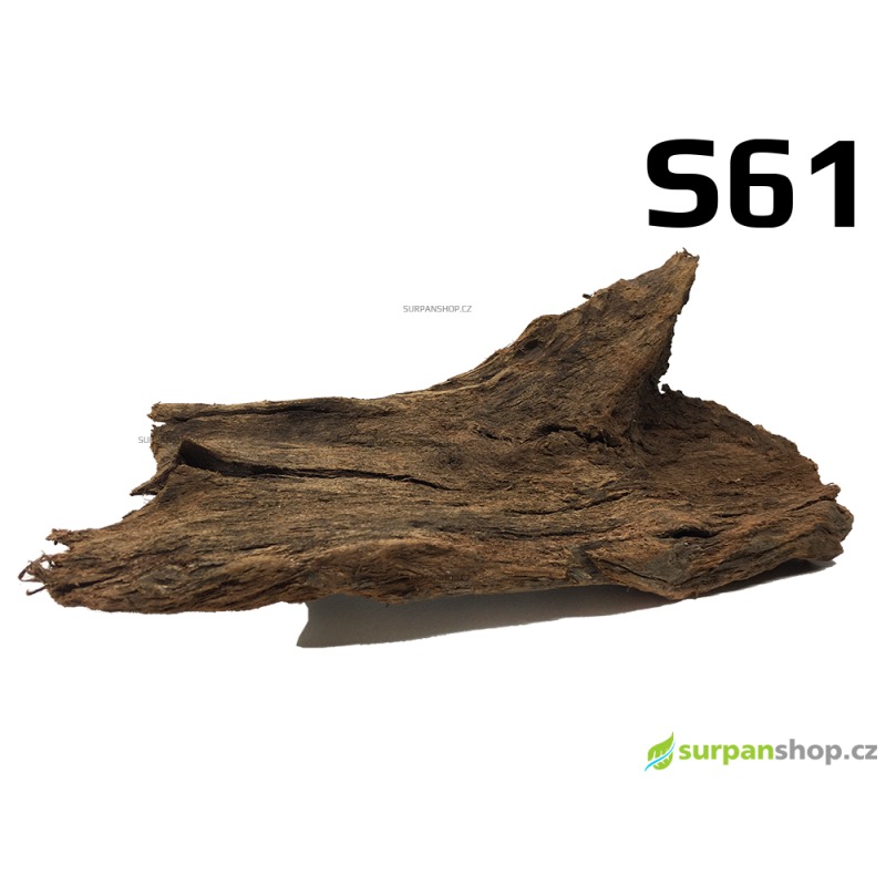 Kořen Mangrove 28cm - S61