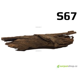 Kořen Mangrove 25cm - S67