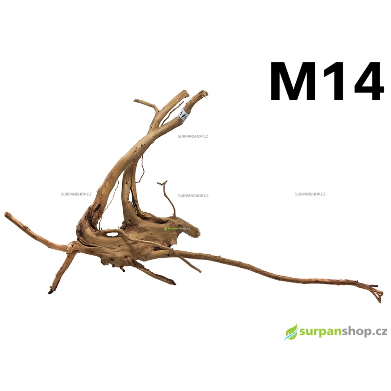 Kořen Finger Wood 45cm M14 (Red Moor wood, Amano wood)