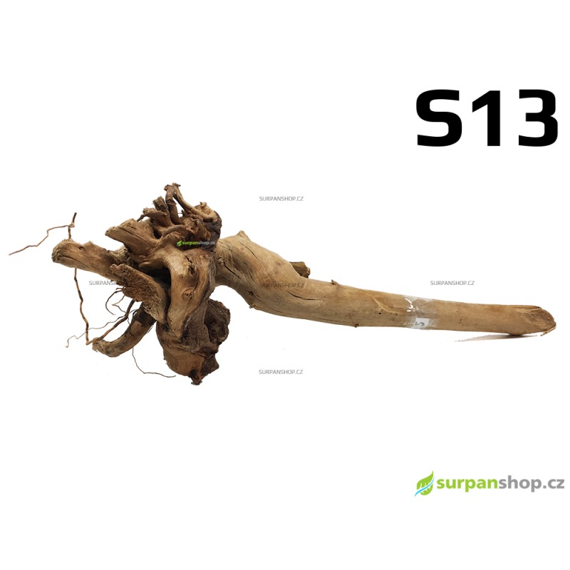 Kořen Finger Wood 31cm S13 (Red Moor wood, Amano wood)