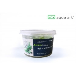 Hydrocotyle tripartita Japan - in vitro AquaArt