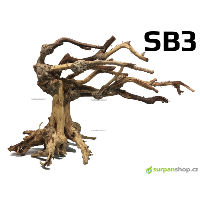 Bonsai - Stromek ve vichru 34x18x24cm SB3
