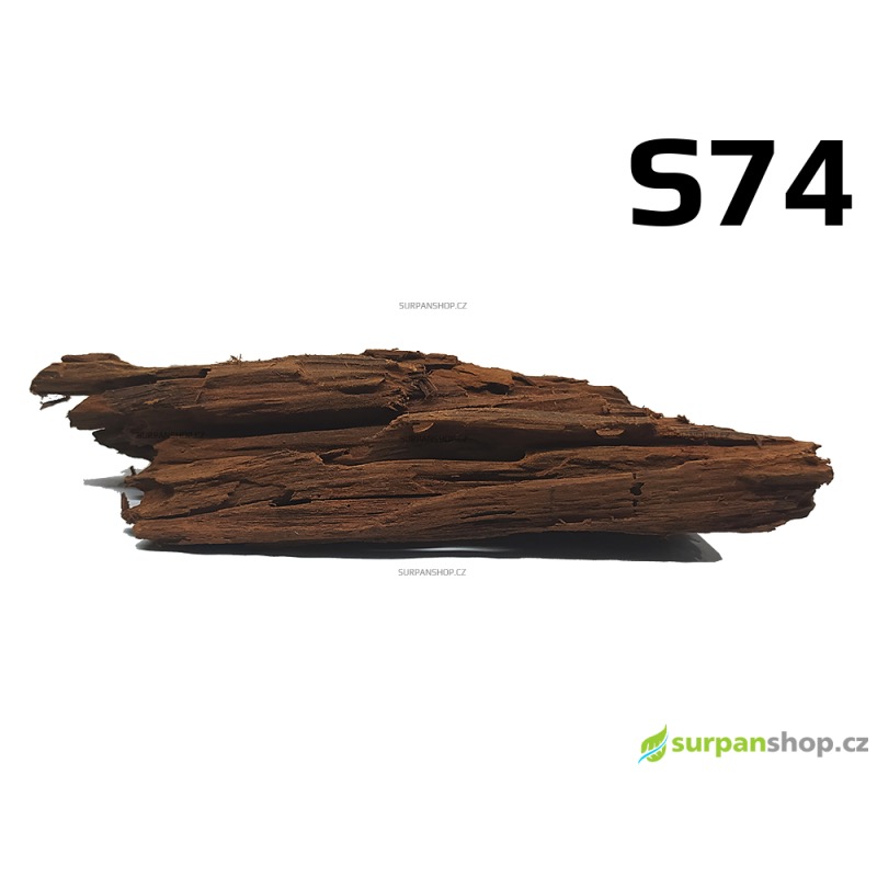 Kořen Mangrove 30cm - S74