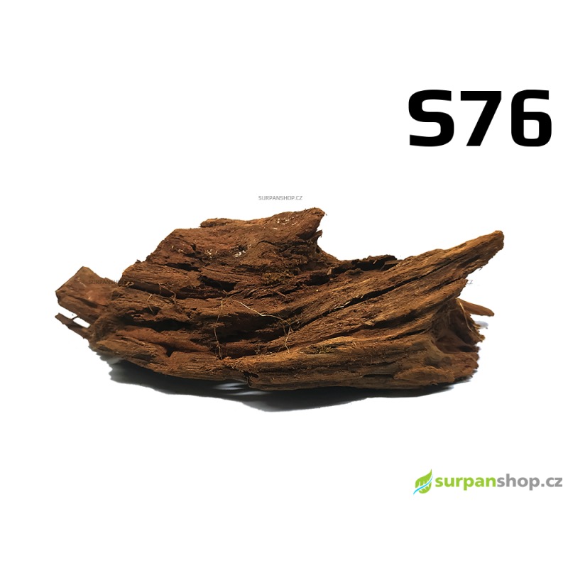 Kořen Mangrove 28cm - S76