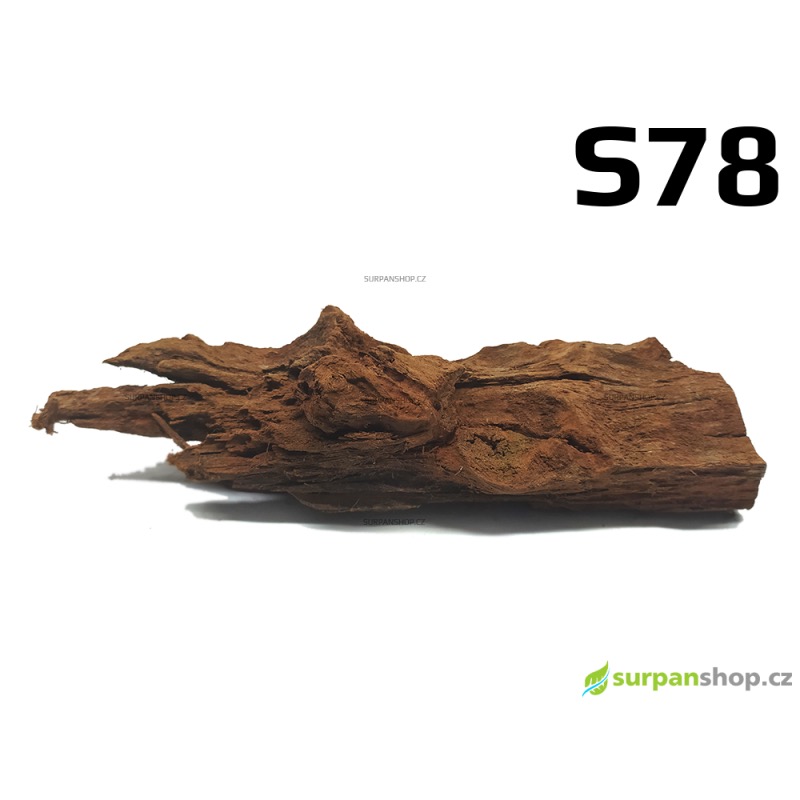 Kořen Mangrove 24cm - S78