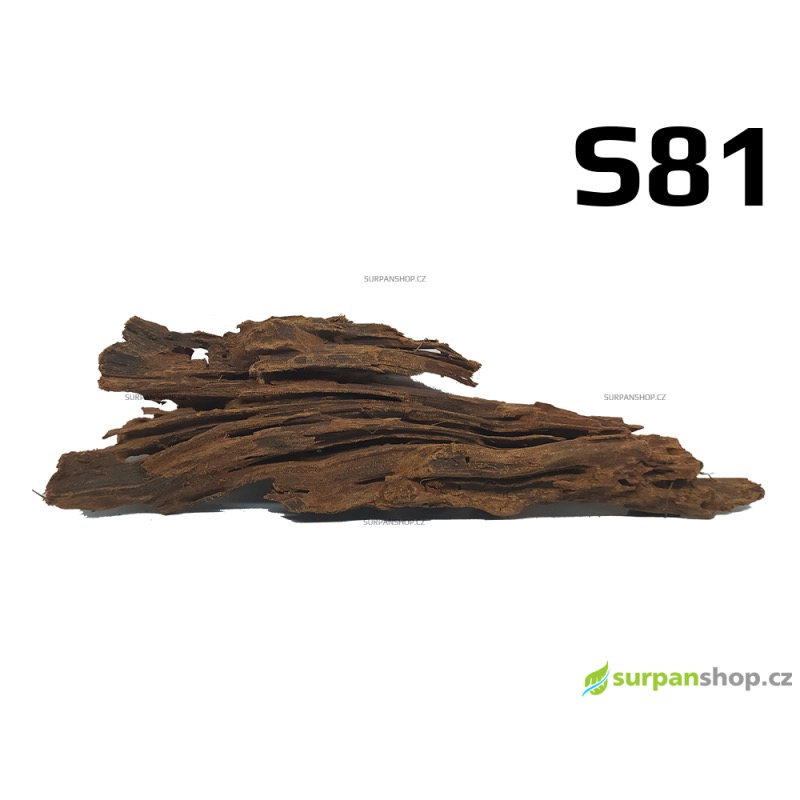 Kořen Mangrove 28cm - S81