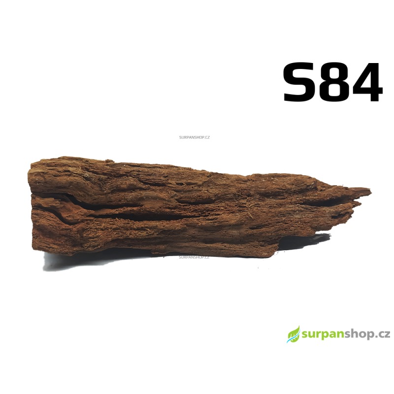 Kořen Mangrove 23cm - S84
