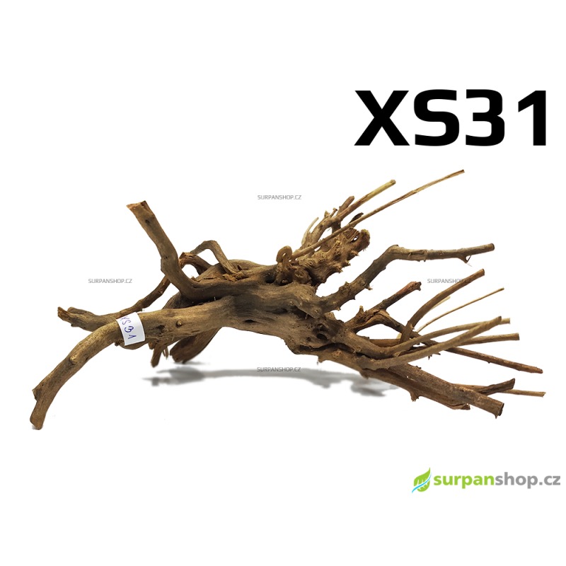 Kořen Finger Wood 18cm XS31 (Red Moor wood, Amano wood)
