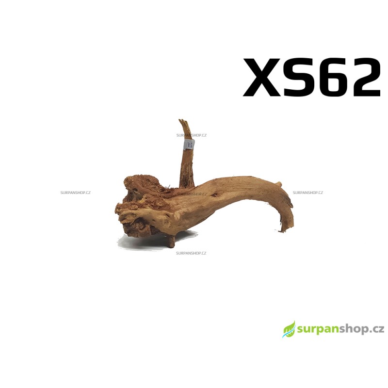 Kořen Finger Wood 14cm XS62 (Red Moor wood, Amano wood)