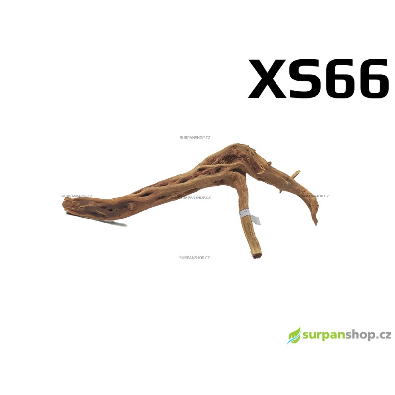 Kořen Finger Wood 20cm XS66 (Red Moor wood, Amano wood)