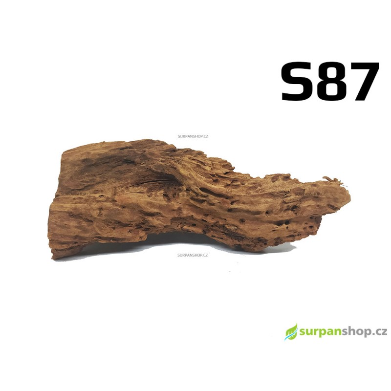 Kořen Mangrove 23cm - S87