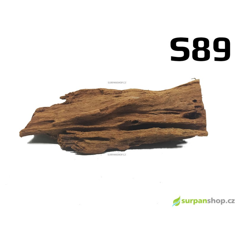 Kořen Mangrove 24cm - S89
