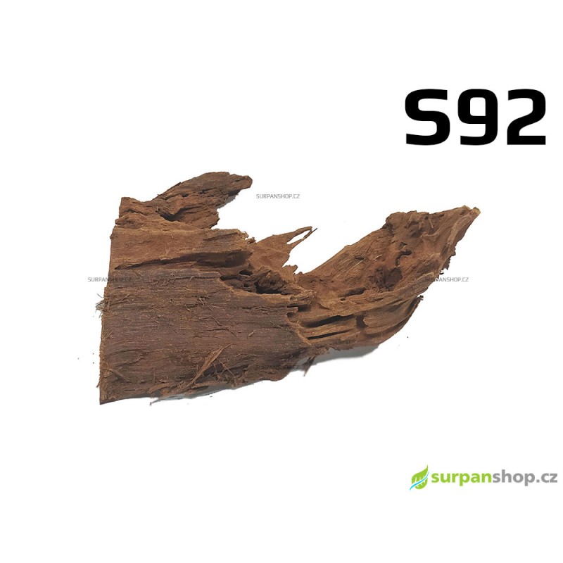 Kořen Mangrove 23cm - S92