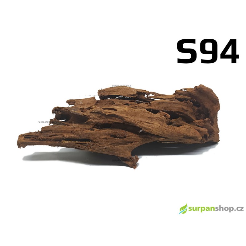 Kořen Mangrove 24cm - S94