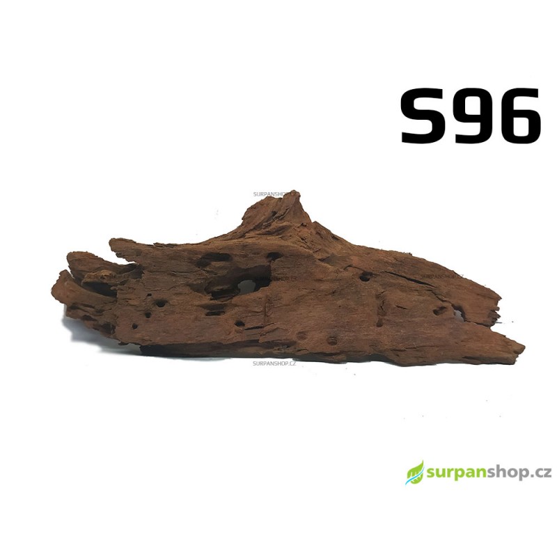 Kořen Mangrove 29cm - S96